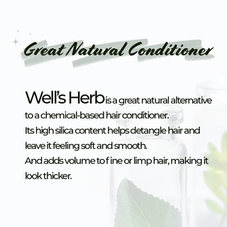 Well's Herb Burdock Root 1.9 oz.