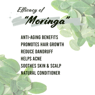 Well's Herb Moringa Leaf 0.4 oz.