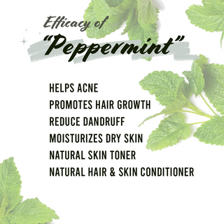 Well's Herb Peppermint Leaf